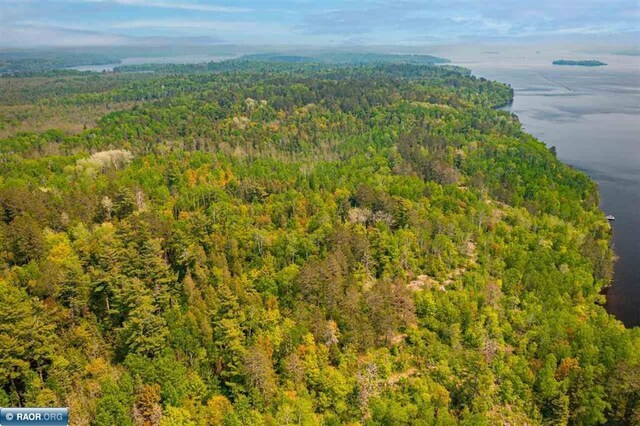 TBD-ParcelA Pine Island, Tower, MN 55790 - photo 16