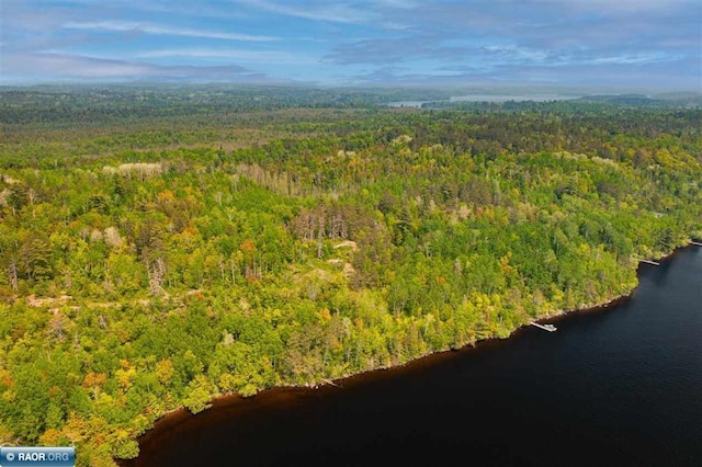 TBD-ParcelA Pine Island, Tower, MN 55790 - photo 17