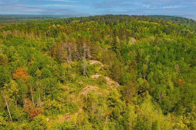 TBD-ParcelA Pine Island, Tower, MN 55790 - photo 18