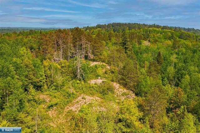 TBD-ParcelA Pine Island, Tower, MN 55790 - photo 19