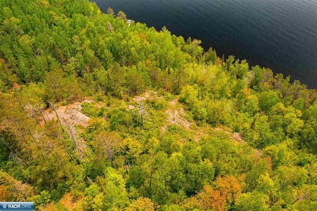TBD-ParcelA Pine Island, Tower, MN 55790 - photo 20