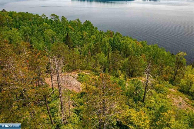 TBD-ParcelA Pine Island, Tower, MN 55790 - photo 21