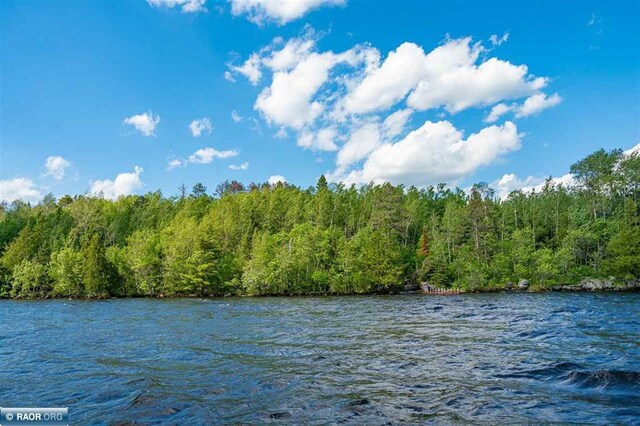 TBD-ParcelA Pine Island, Tower, MN 55790 - photo 22