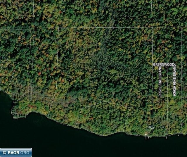 TBD-ParcelA Pine Island, Tower, MN 55790 - photo 24