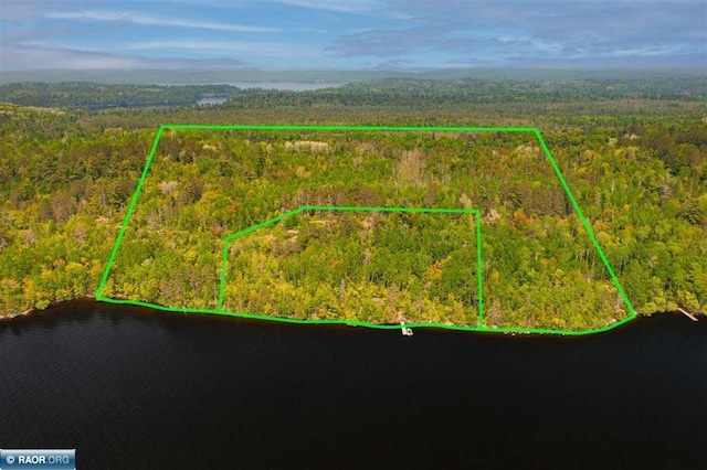 TBD-ParcelA Pine Island, Tower, MN 55790 - photo 25