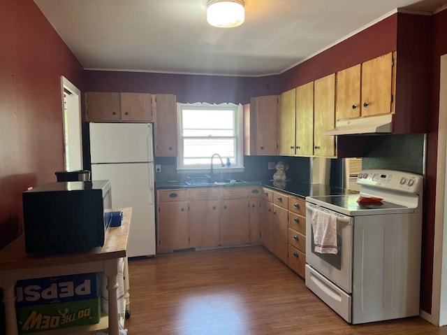 312 1st St NE, Sebeka, MN 56477 - kitchen with white appliances, under cabinet range hood, a sink, and wood finished floors