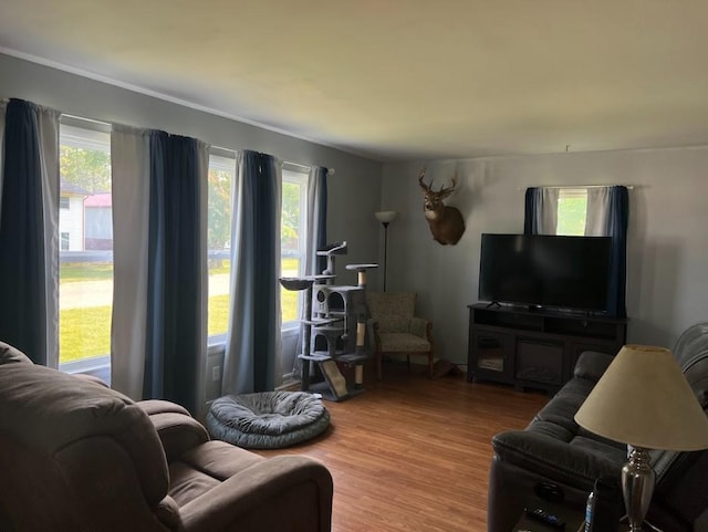 312 1st St NE, Sebeka, MN 56477 - living room featuring healthy amount of natural light and light wood finished floors