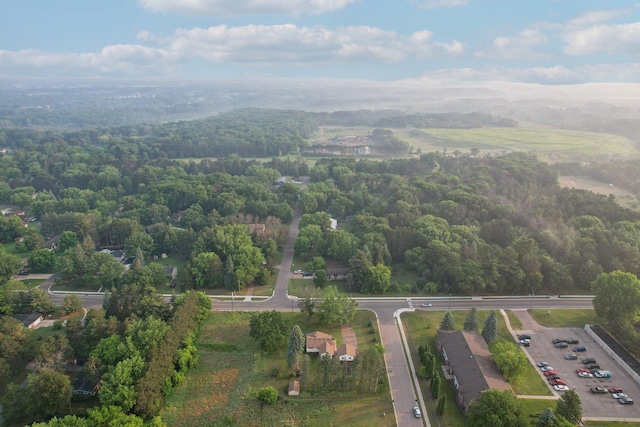 5963 Viking Blvd, Wyoming, MN 55092 - bird's eye view of a heavily wooded area