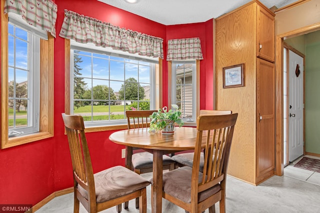 914 106th Ave NW, Coon Rapids, MN 55433 - dining space featuring plenty of natural light