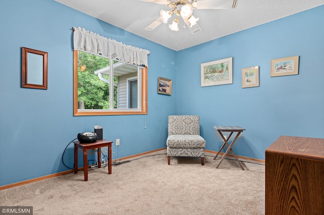 914 106th Ave NW, Coon Rapids, MN 55433 - living area featuring carpet flooring, a ceiling fan, and a textured ceiling