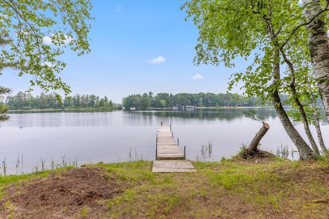 TBD-ParcelB Staley Lane, Crosslake, MN 56442 - photo 2