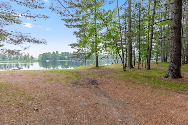 TBD-ParcelB Staley Lane, Crosslake, MN 56442 - photo 4