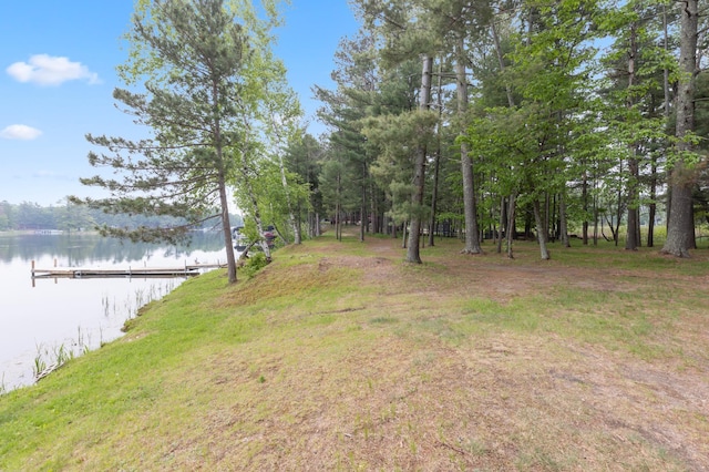 TBD-ParcelB Staley Lane, Crosslake, MN 56442 - photo 5
