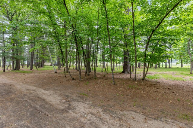 TBD-ParcelB Staley Lane, Crosslake, MN 56442 - photo 16