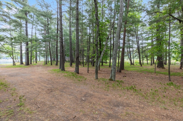 TBD-ParcelB Staley Lane, Crosslake, MN 56442 - photo 17
