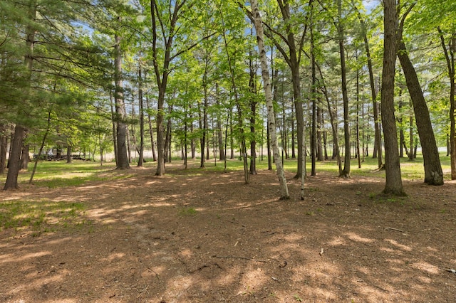 TBD-ParcelB Staley Lane, Crosslake, MN 56442 - photo 23
