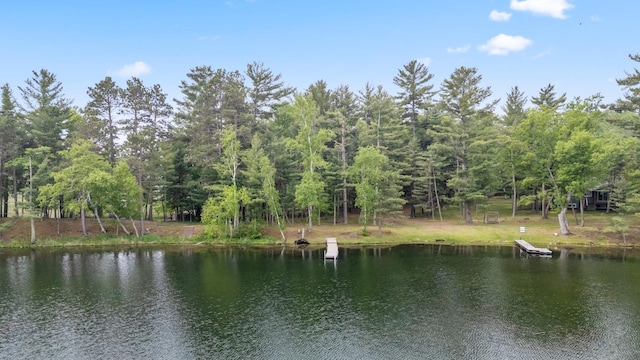 TBD-ParcelB Staley Lane, Crosslake, MN 56442 - photo 1