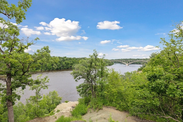 110 Mississippi River Blvd N, Saint Paul, MN 55104 - photo 21
