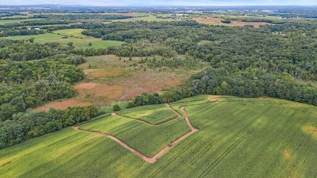 2184 170th St, Fair Haven Twp, MN 55320 - aerial view of sparsely populated area featuring a forest