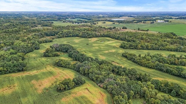 2184 170th St, Fair Haven Twp, MN 55320 - aerial view of a heavily wooded area