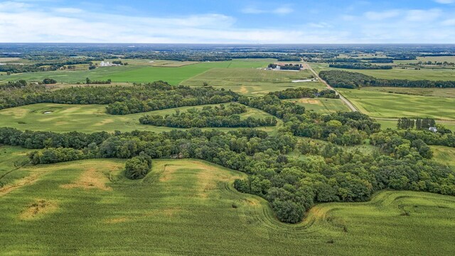 2184 170th St, Fair Haven Twp, MN 55320 - aerial view of sparsely populated area