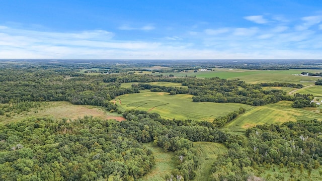 2184 170th St, Fair Haven Twp, MN 55320 - bird's eye view of a forest