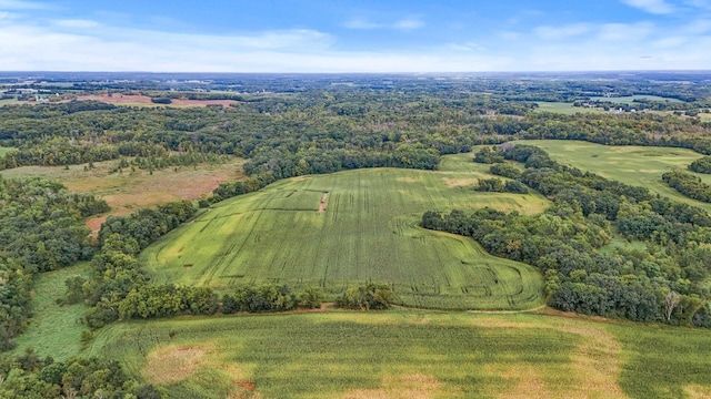 2184 170th St, Fair Haven Twp, MN 55320 - bird's eye view