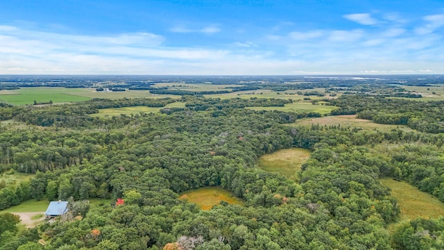 2184 170th St, Fair Haven Twp, MN 55320 - drone / aerial view of a forest