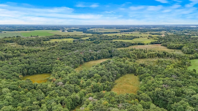 2184 170th St, Fair Haven Twp, MN 55320 - drone / aerial view of a forest