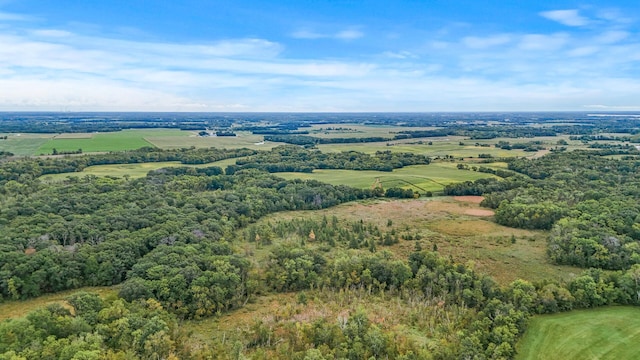2184 170th St, Fair Haven Twp, MN 55320 - drone / aerial view of a heavily wooded area