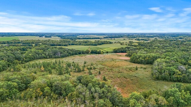 2184 170th St, Fair Haven Twp, MN 55320 - drone / aerial view