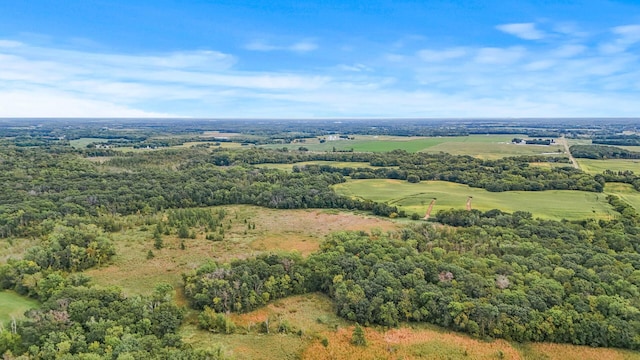 2184 170th St, Fair Haven Twp, MN 55320 - drone / aerial view of a heavily wooded area