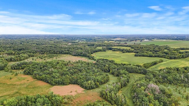 2184 170th St, Fair Haven Twp, MN 55320 - bird's eye view of a forest