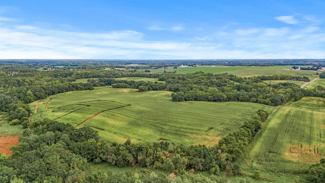 2184 170th St, Fair Haven Twp, MN 55320 - drone / aerial view