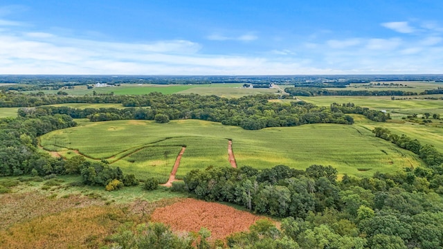 2184 170th St, Fair Haven Twp, MN 55320 - aerial view