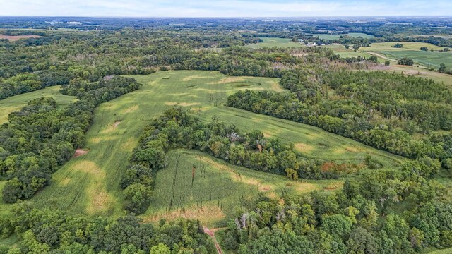 2184 170th St, Fair Haven Twp, MN 55320 - view of property location featuring a forest