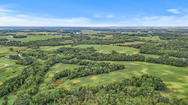 2184 170th St, Fair Haven Twp, MN 55320 - aerial view of property and surrounding area
