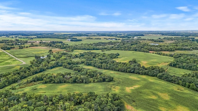 2184 170th St, Fair Haven Twp, MN 55320 - aerial view