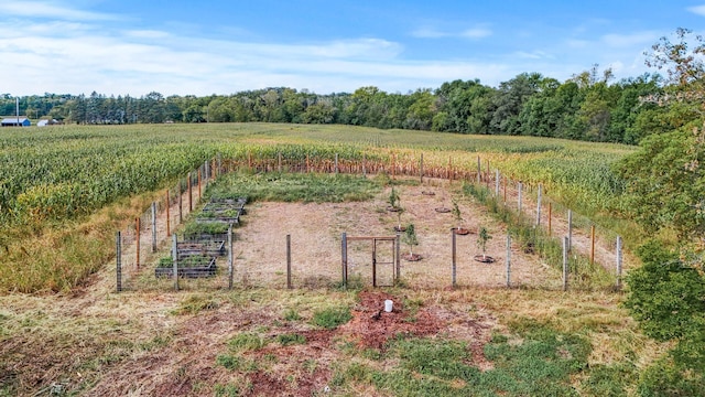 2184 170th St, Fair Haven Twp, MN 55320 - view of yard with a view of countryside
