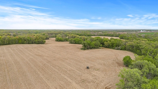2184 170th St, Fair Haven Twp, MN 55320 - bird's eye view of a heavily wooded area