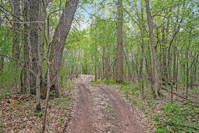 2184 170th St, Fair Haven Twp, MN 55320 - view of road featuring a wooded view