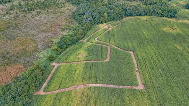 2184 170th St, Fair Haven Twp, MN 55320 - drone / aerial view