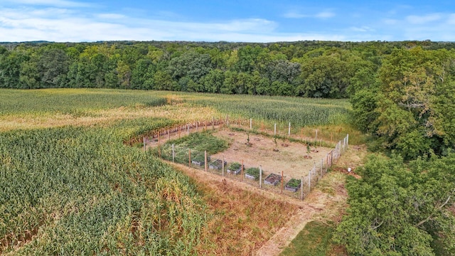 2184 170th St, Fair Haven Twp, MN 55320 - aerial view of sparsely populated area with a forest