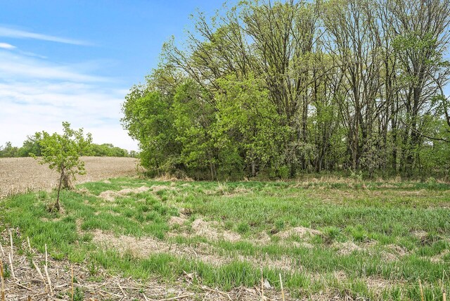 2184 170th St, Fair Haven Twp, MN 55320 - view of yard with a rural view