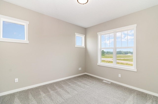 20610 Redwood St NW, Oak Grove, MN 55011 - carpeted spare room with baseboards