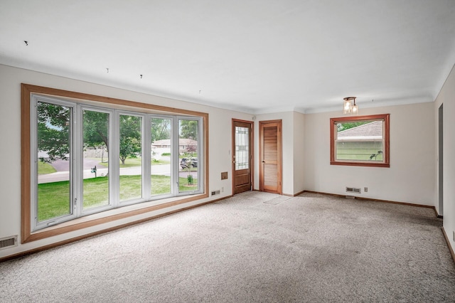 800 82nd Ave N, Brooklyn Park, MN 55444 - unfurnished room with healthy amount of natural light and light carpet