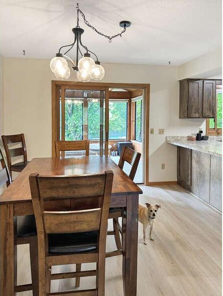 861 Lake Susan Dr, Chanhassen, MN 55317 - dining space featuring light wood-type flooring and a chandelier