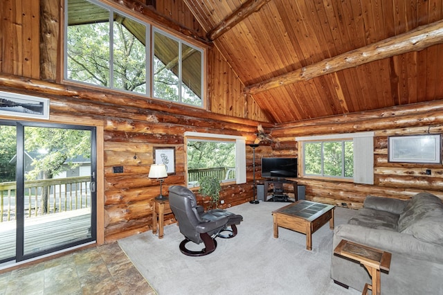 56638 County Road 1, Mazeppa, MN 55956 - photo 9