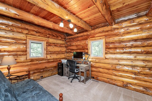 56638 County Road 1, Mazeppa, MN 55956 - photo 16