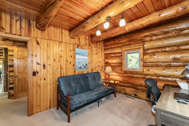 56638 County Road 1, Mazeppa, MN 55956 - photo 17